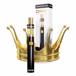 King Louis XIII