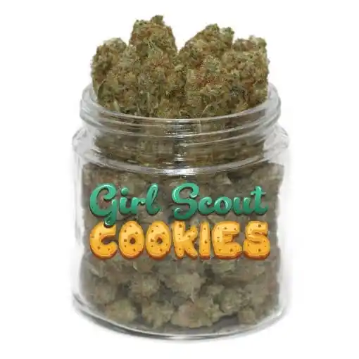 GSC-jar2
