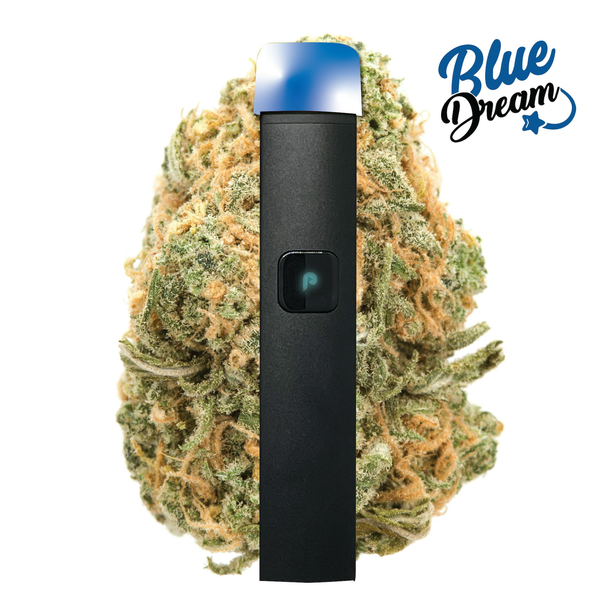 plugplay-justplay-blue-dream-all-in-one-pen-10g.jpeg
